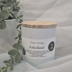 Kaksikud (21.05–20.06)